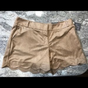 Velvet Casual Shorts